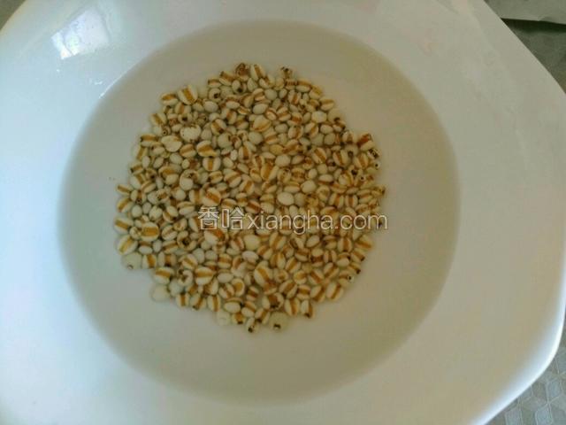 薏仁用水提前泡好。