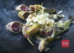 酱焖嘎鱼的做法图解4