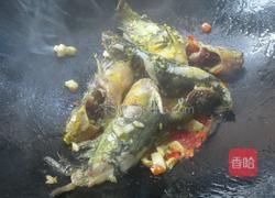 酱焖嘎鱼的做法图解5
