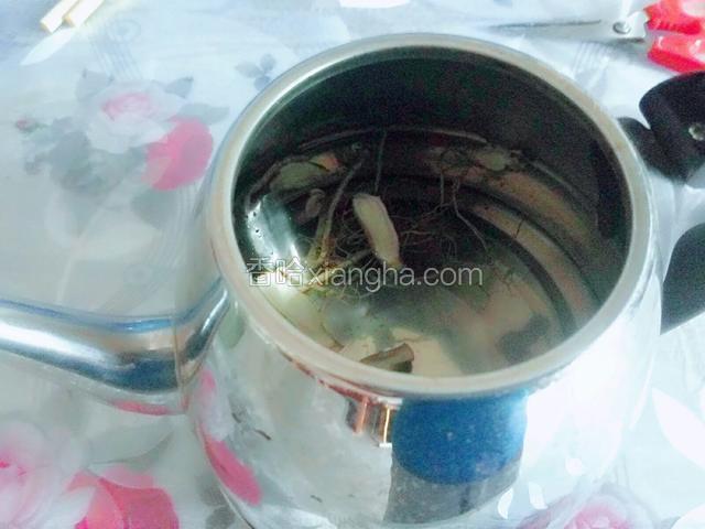 取3克干参片，放进不锈钢电水壶，加入矿泉水浸泡半小时