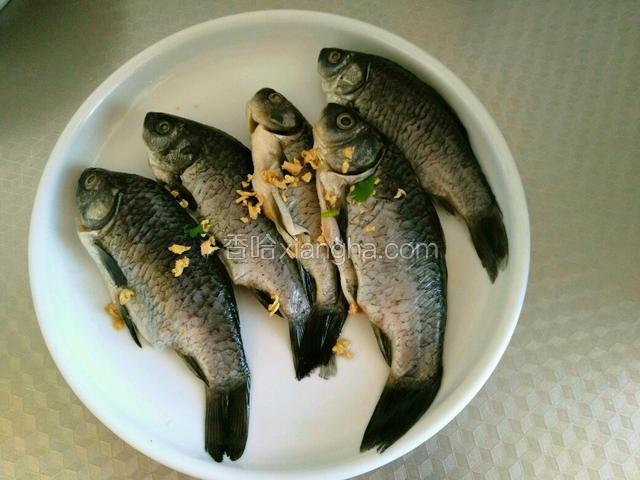 鱼处理干净放少许盐和姜末腌制15分钟。