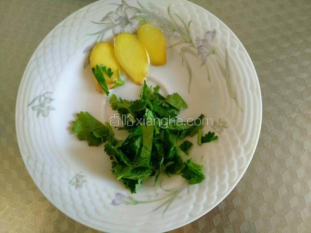 备好姜片和香菜段。