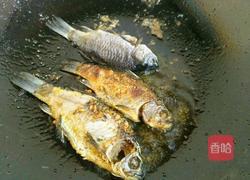 鲫鱼白萝卜汤的做法图解5