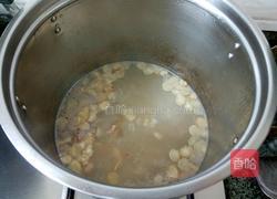 花旗参薏米汤的做法图解5