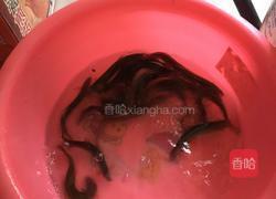 泥鳅豆腐汤的做法图解1