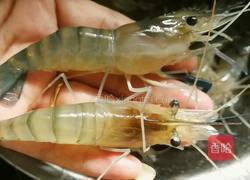 油爆沼虾的做法图解2