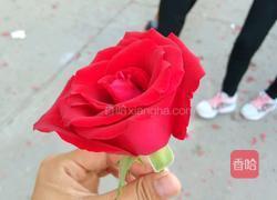 玉米火腿粥的做法图解5