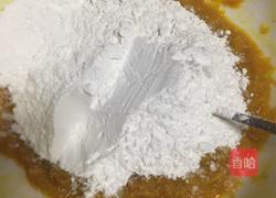 鲜肉南瓜汤圆的做法图解4