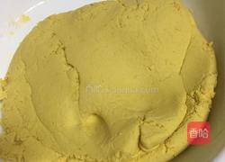 鲜肉南瓜汤圆的做法图解5