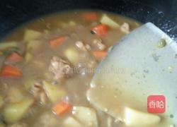 土豆咖喱鸡的做法图解9