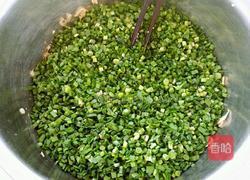 韭菜素包子的做法图解9