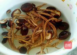 茶树菇炖鸡肉的做法图解2