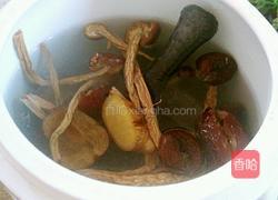 茶树菇炖鸡肉的做法图解5