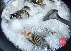 煲鱼头汤的做法图解3
