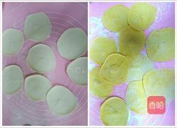 金銀元寶餃子的做法圖解5