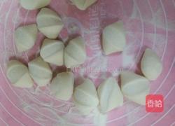 胡萝卜玉米肉饺子的做法图解17