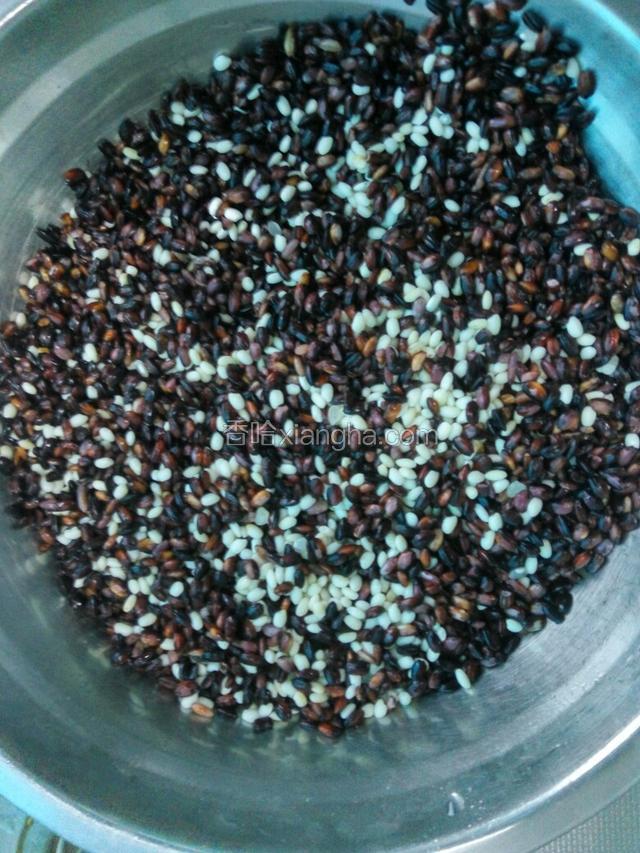 淘洗干净与血糯米和在一起。