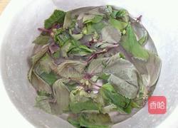 凉拌苏子叶的做法图解2
