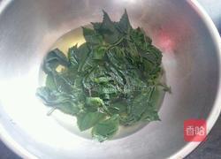 凉拌苏子叶的做法图解3