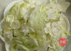 爆炒圆白菜的做法图解1