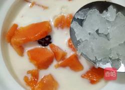 牛奶炖红枣木瓜的做法图解4