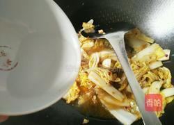 白菜粉条的做法图解8