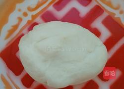 洋葱木耳水饺的做法图解1