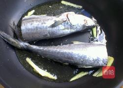 红烧鲅鱼的做法图解3