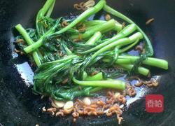 海米油菜苔的做法图解4