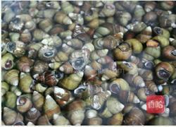 爆炒香辣田螺的做法图解1