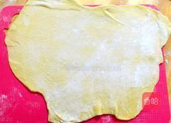 萨琪玛的做法图解5