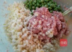 饺子皮烧麦的做法图解2