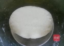 红萝卜粉条海米馅蒸饺的做法图解3