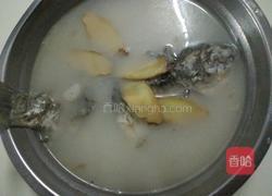 清炖鲫鱼的做法图解3
