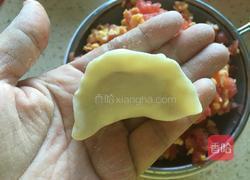 西红柿鸡蛋蒸饺的做法图解14