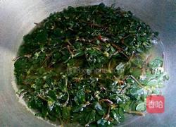 凉拌蚂蚱菜的做法图解2