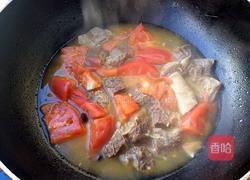 西紅柿牛腩的做法图解8