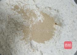 油菜香菇素包子的做法图解1