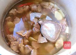 清炖萝卜牛肉的做法图解5