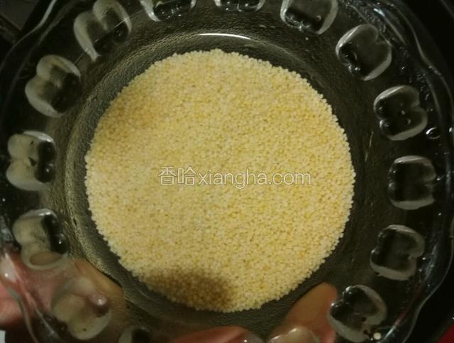 小米淘洗干净