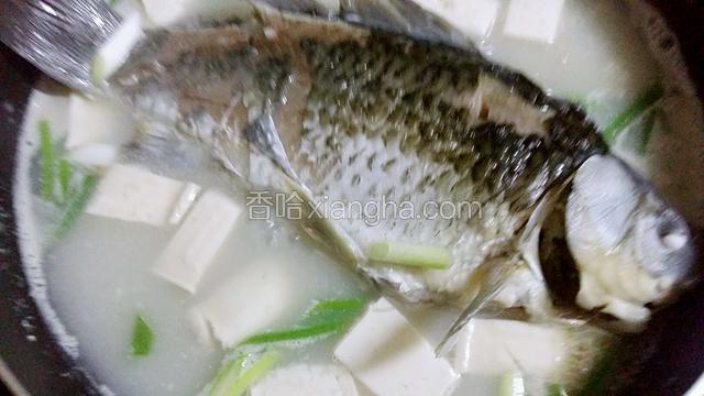 待汤呈奶白色时，加入适量盐与鸡精，葱，香菜枸杞关火即可