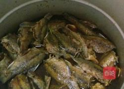 酱焖酥鲫鱼的做法图解7