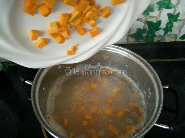小米煮开后，用小漏勺去除上面的泡沫。将南瓜丁放进锅里。