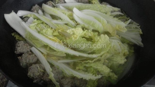 再将白菜放入锅中！