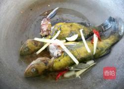 香辣黄骨鱼的做法图解4
