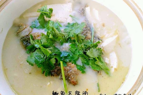 鲫鱼豆腐汤