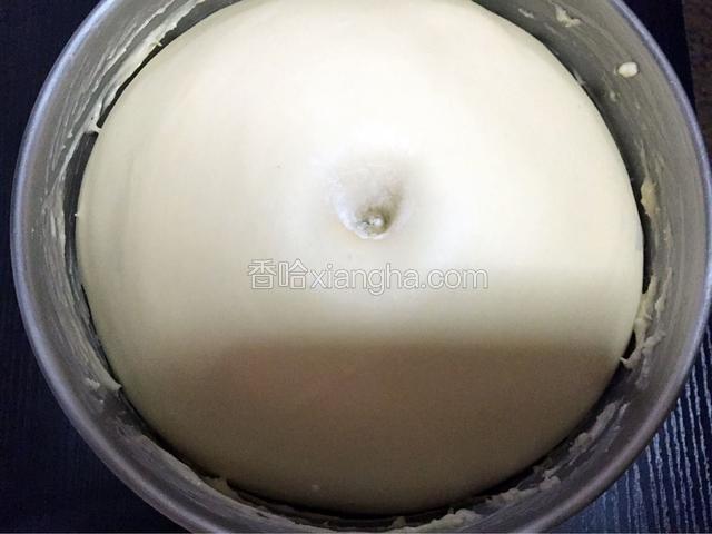 手指沾面粉戳一小洞，不反弹不回缩即发酵成功