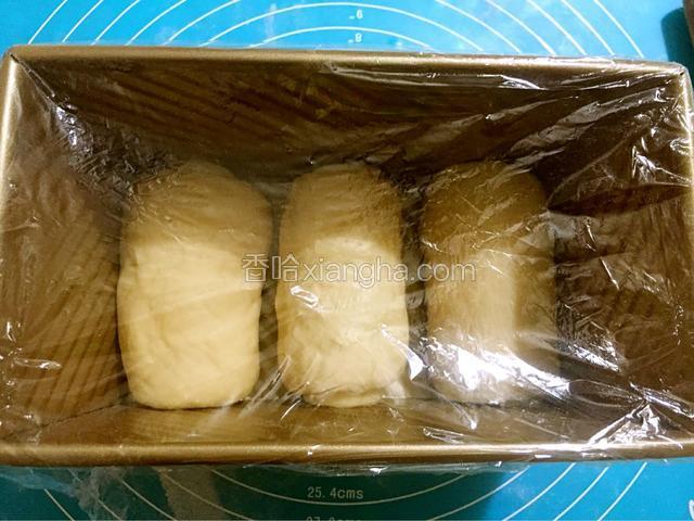 依次做好其它的面团，放进模具中，盖上保鲜膜放温暖处发酵九分满