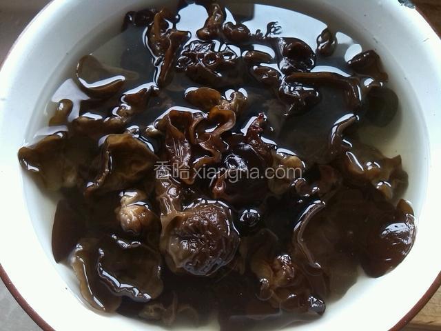 木耳用温水泡发