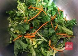 苦菊凉拌的做法图解3